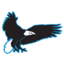 Americasnationalparks logo