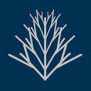 Araucaria logo