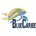 Blue Caribe Tours logo