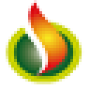 Bois Energie Nord - Standard logo