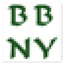 Bonsai Boy of New York logo