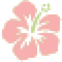 Caley Cosmetics logo