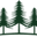 Cedarwoodroad Com