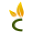 Chineseherbsdirect logo