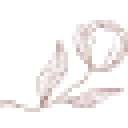 Distinctexpectations logo