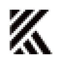 Bonsen Electronics Inc logo