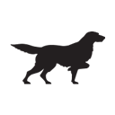 Irishsetterboots logo