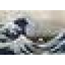 Traditional Crafts Japan logo