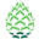 pineconeresearch logo