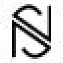 Nickstensonbeauty logo