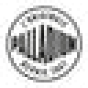 Palladium Boots logo