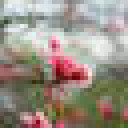 Perlamargherita logo