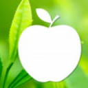 Artländer Pflanzenhof logo