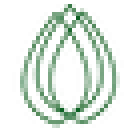 Pharma Botanica logo