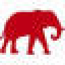 Real World Store logo