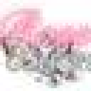 Shoproseinconcrete logo