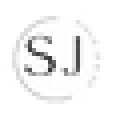 Stevie Js logo