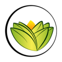 The Ayurveda Experience logo