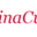 Tinacustom logo