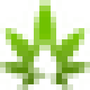 Well Care Botanicals logo