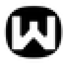 Wisesky