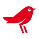 LLC AUCHAN logo